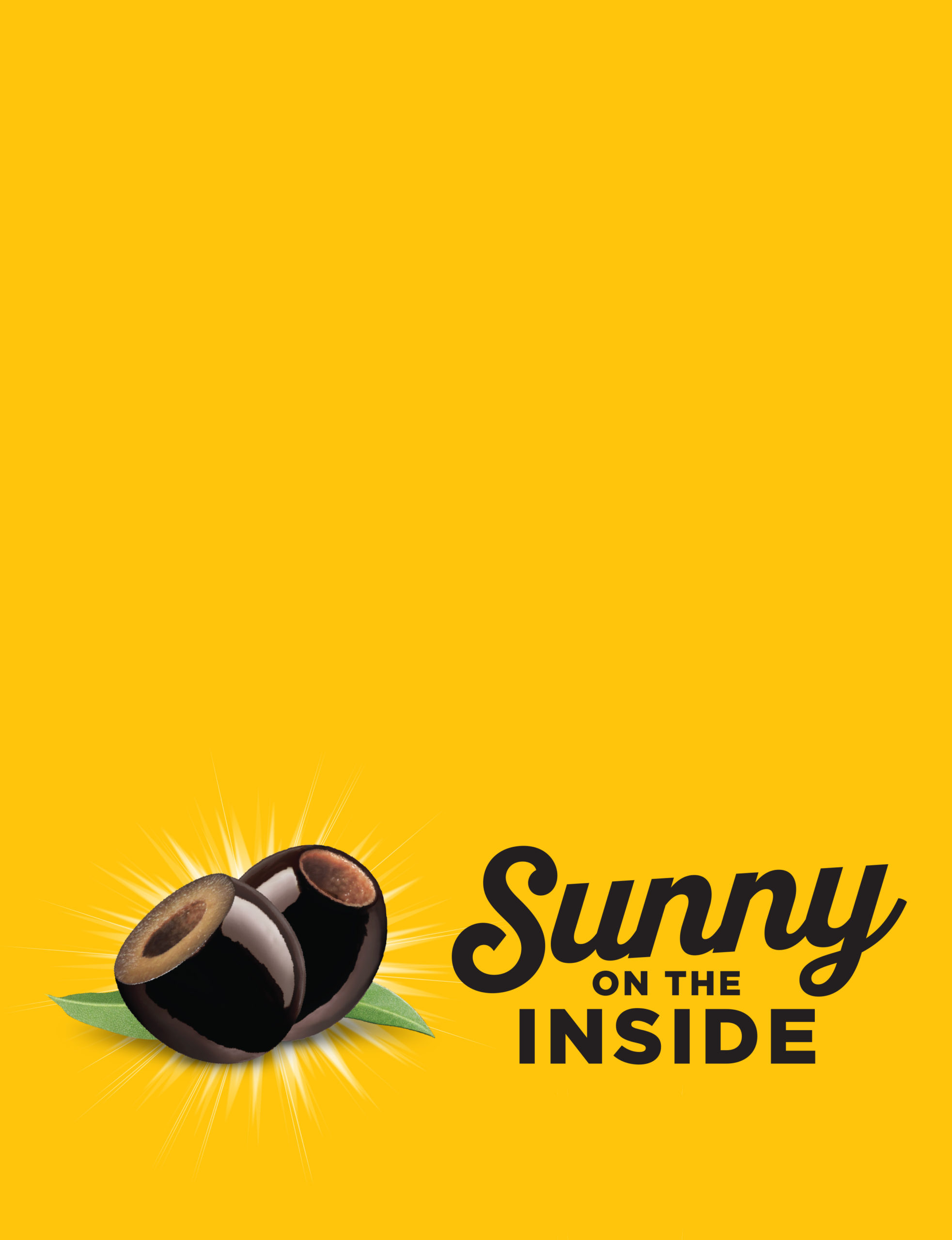 SUNNY RULES PAGE HEADER